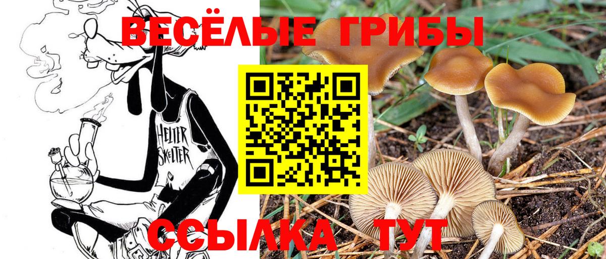 Кетамин Михайловка