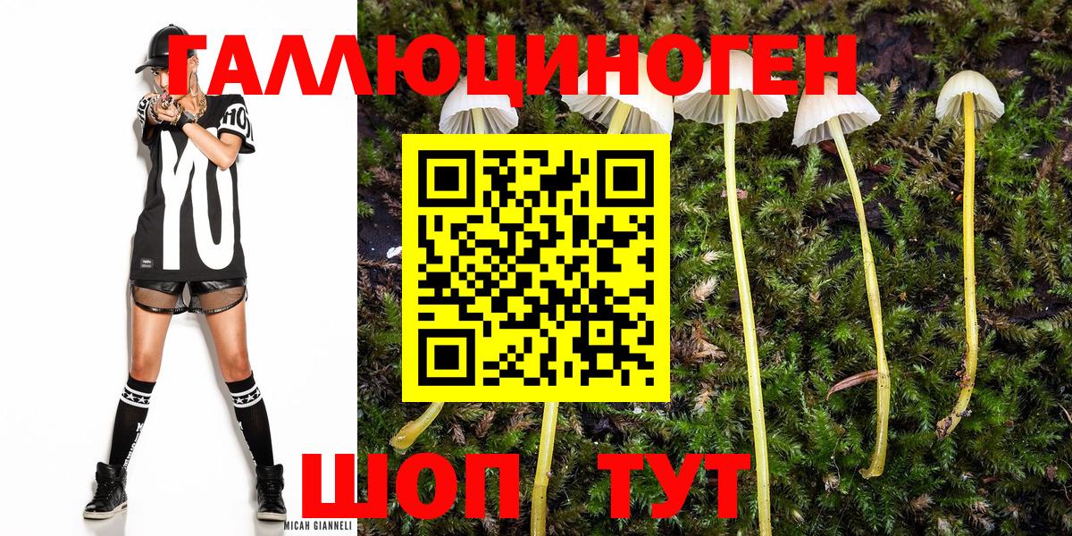 Галлюциногенные грибы MAGIC MUSHROOMS Михайловка