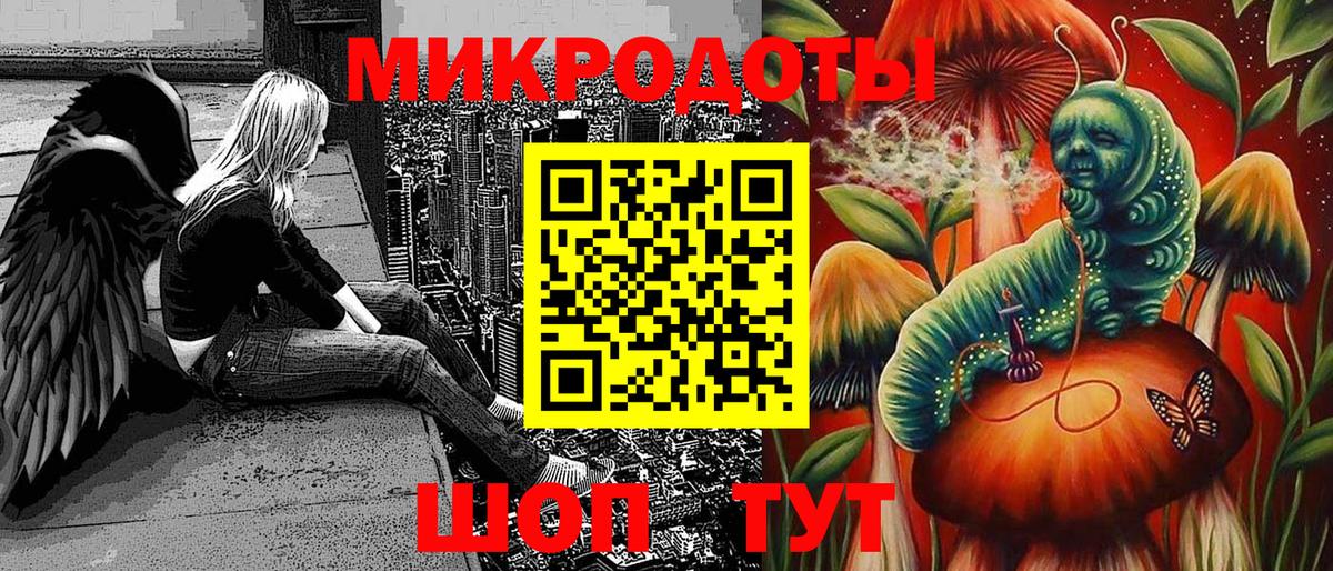 Псилоцибиновые грибы Psilocybe  Вход с VPN  Михайловка 